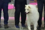 Meilleur de Sexe Opposé Tarbes 2019